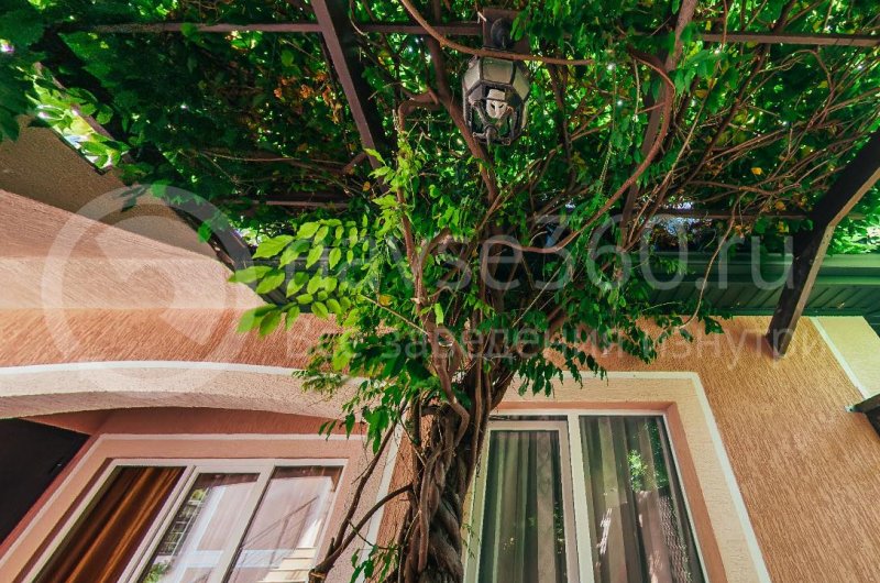 отель светлый геленджик дивноморское 09