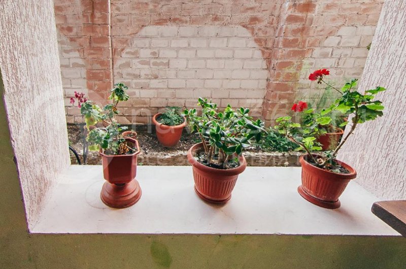 отель светлый геленджик дивноморское 13